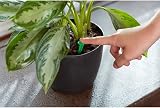 Miracle-Gro Indoor Plant Food Spike 1.1 Ounce Urea Nitrogen Fertilizer view 8