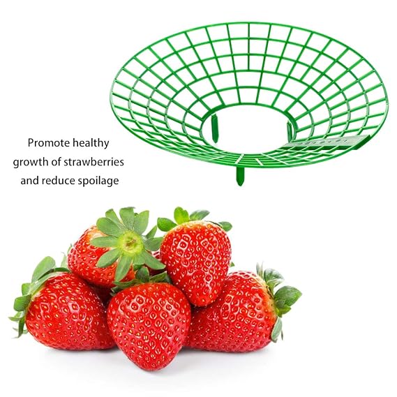 Soportes de fresa de 6 piezas, soporte para maceta con 3 patas ...