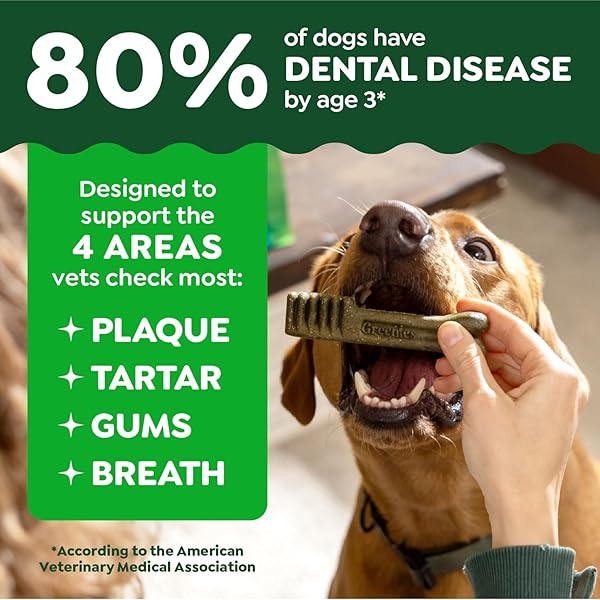 GREENIES DENTAL TREATS FOR DOGS, VETERINARIAN-RECOMMENDED AGING CARE ADULT NATURAL DENTAL DOG TREATS, TEENIE SIZE, 27 OZ. PACK, 96 COUNT