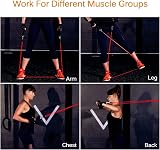 Himaly Resistance Bands Set 5pcs 100 Lbs with Handles Door Anchor view 6