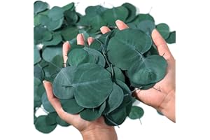 MIHUAGE 400+ Pcs Dried Real Eucalyptus Leaves, Rustic BohoTable Decor, 100% Natural Preserved Silver Dollar Eucalyptus Decor 