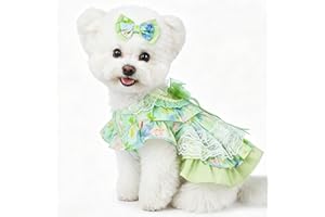 SipSylph Spring Dog Dress, Floral Princess Dog Dress, Multi-Layer Ruffle Skirt with Soft Mesh & Lace Fabric, Girl Dog Clothes
