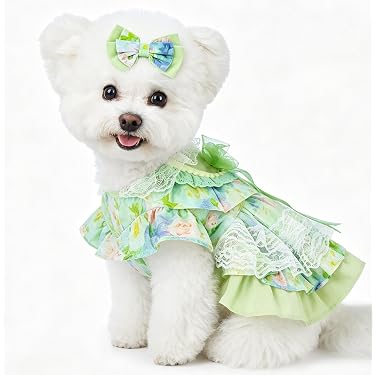 green emerald velvet dress Amanda Picasso Sausage Dog Flared Dress