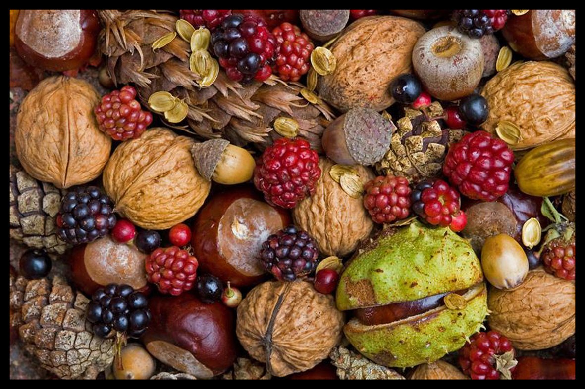 Digital Republic.Com 40335 Polyamide PVC Door Mat, Phthalate-Free