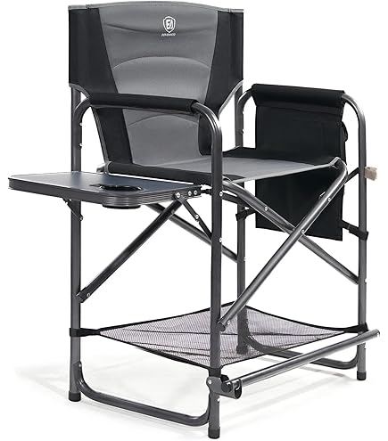 激レア tr4s グッドフェローズ Director's Chair 激レア tr4s グッド