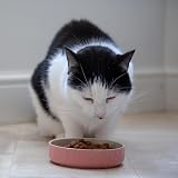 Mason Cash Colour Mix Cat Saucer Pink 13cm 200ml Stoneware Bowl view 3