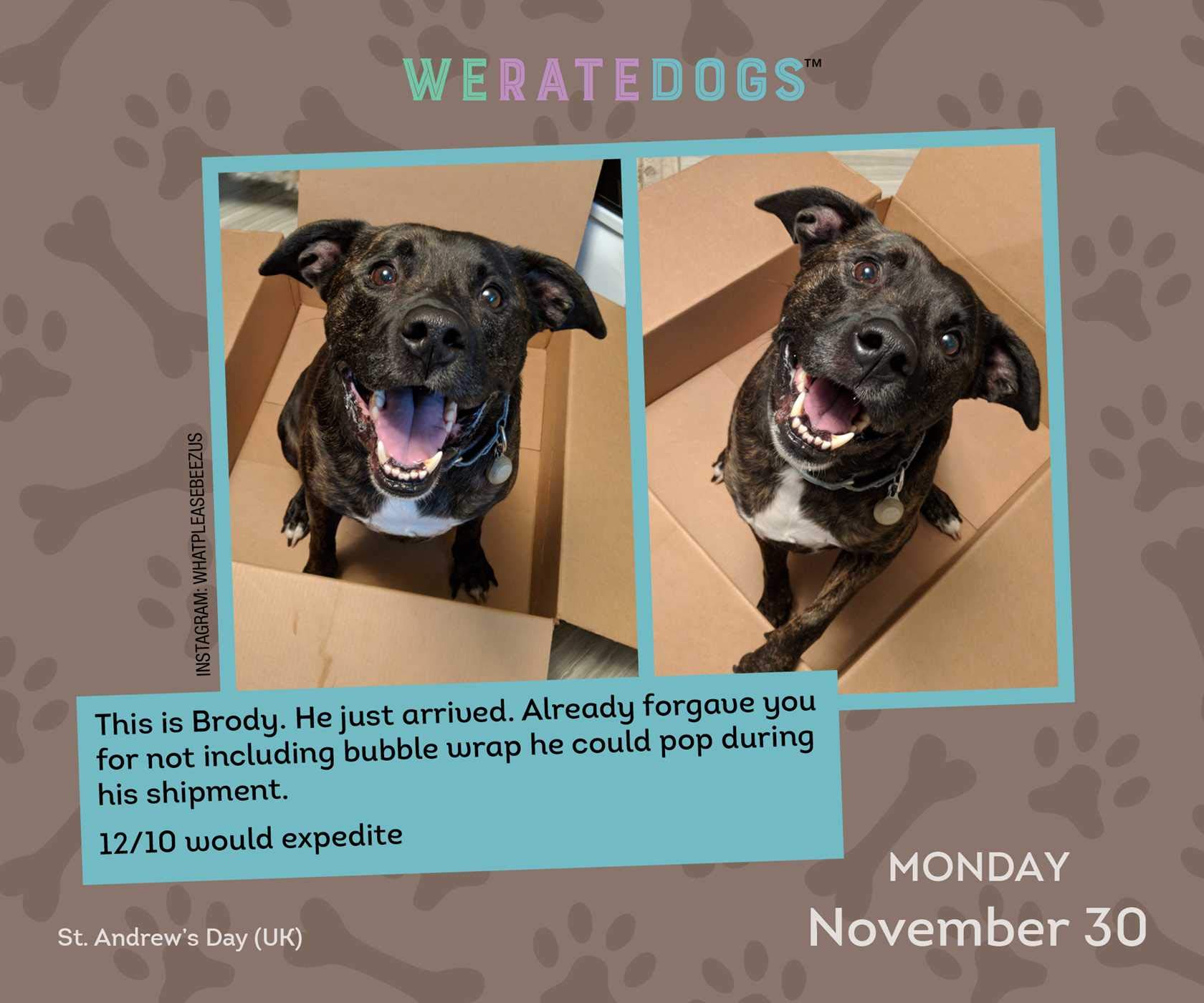 we rate dogs day to day calendar