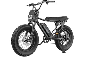 MACFOX X7 Electric Bike for Adults, 750W EBike with Hydraulic Brakes, 48V 13Ah Removable Battery 30 Mile Range, Upgraded 20x5.0 Rear Fat Tire for School/City/Town Commuting (UL2849 & Class-3)