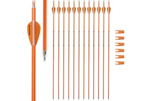 BOWSOUL Carbon Arrow Archery 30inch Bright Colors Hunting Target Practice Arrows for Compound & Recurve Bow Spine 500 with Removable Tips (Pack of 12)