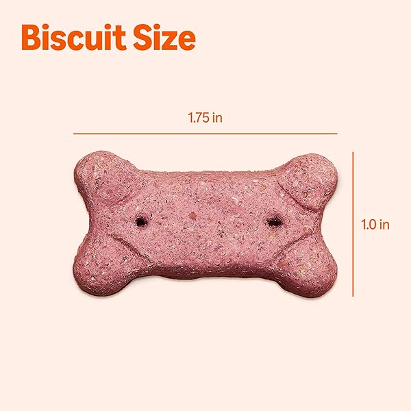 AMAZON BASICS CRUNCHY DOG BISCUITS MULTI FLAVOR DOG TREATS 5 LB. BOX