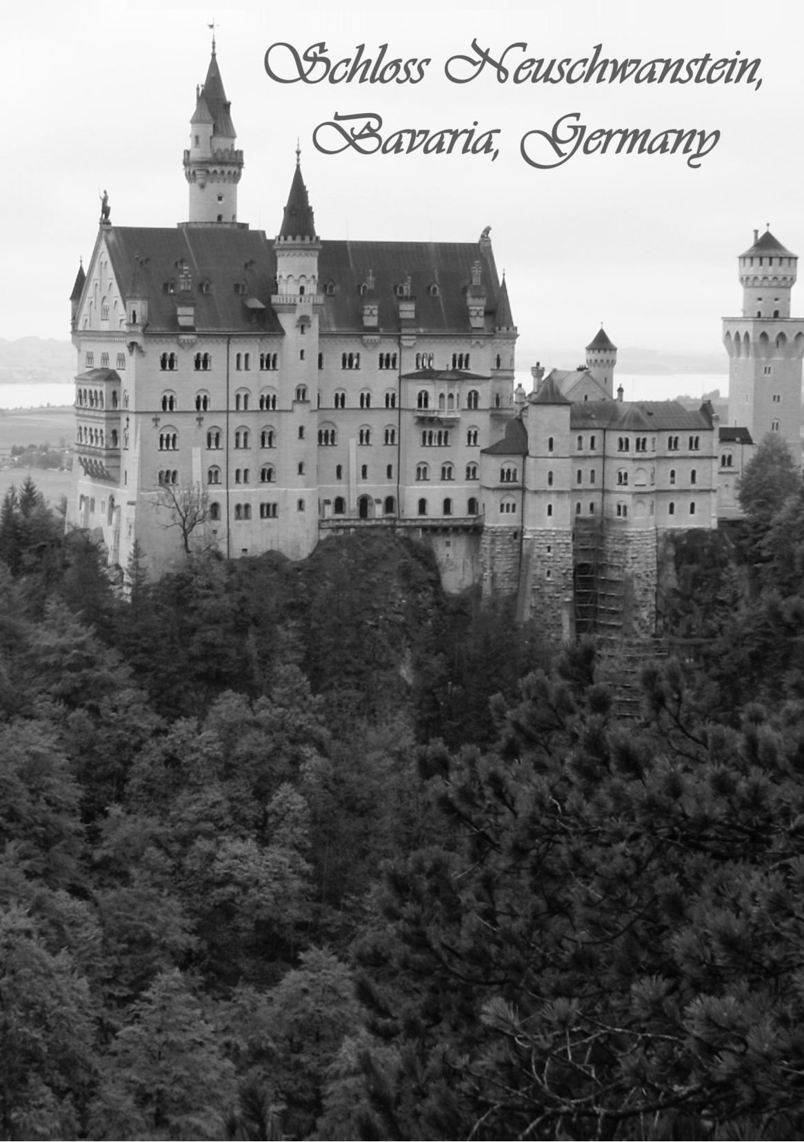 Notebook Neuschwanstein: lined
