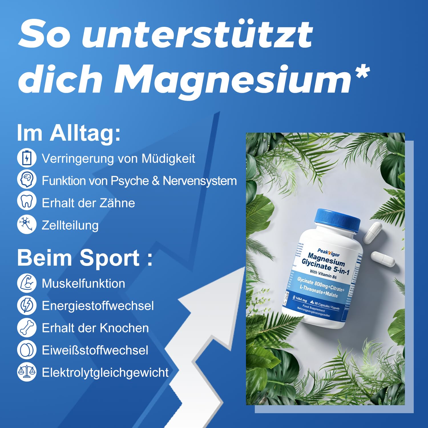 Magnesium Komplex 5 in 1-226mg elementares 105% NRV- Premium 1464mg Magnesiumglycinat, Citrat, Malat, L‑Threonat, Vitamin - hochdosiert - zur Unterstützung von Muskeln, Knochen, Herz, Nerven 2