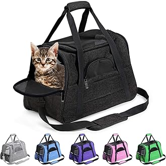 best dog carriers for small dogs