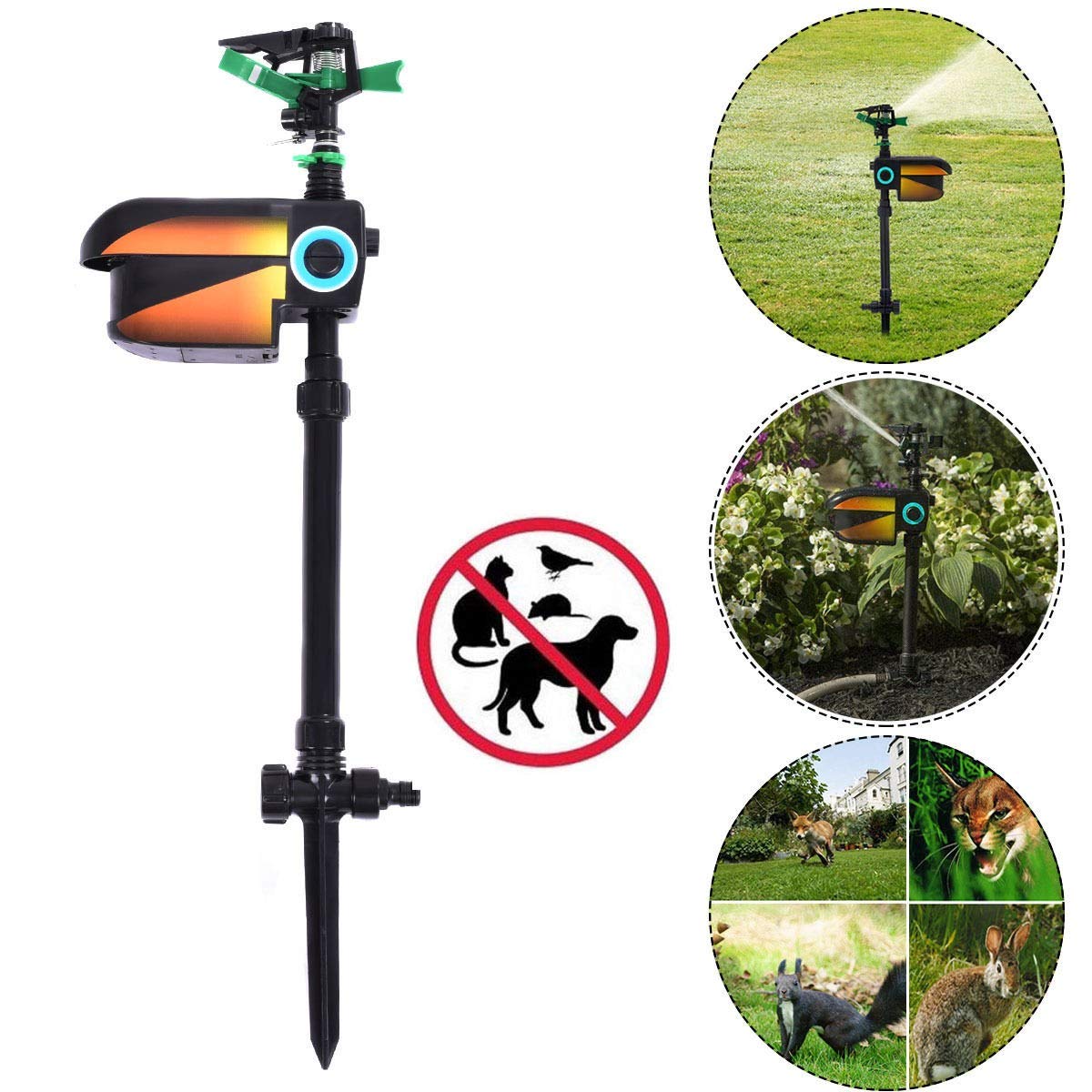 Buy Toolsempire Motion Activated Animal Repellent Solar Powered