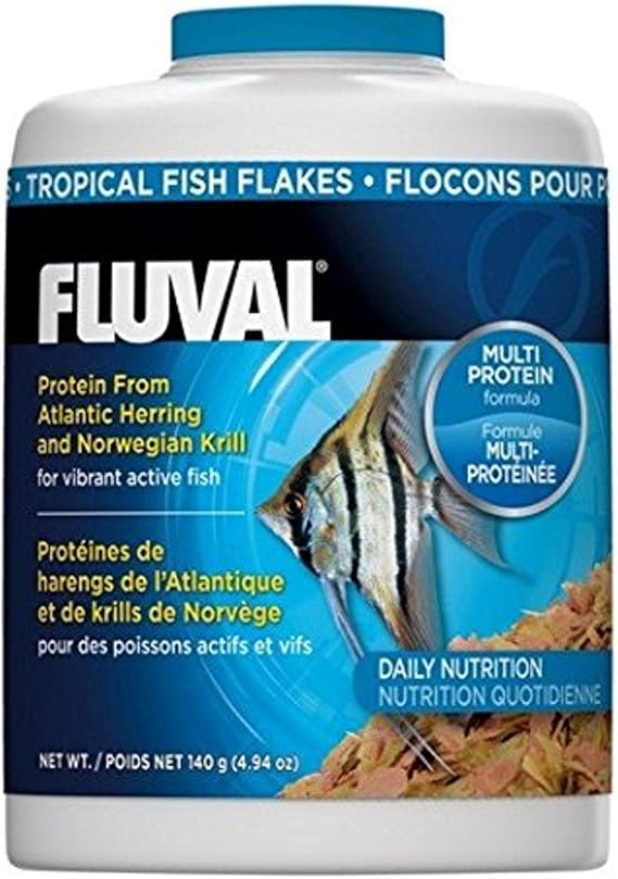 light tan french bulldog