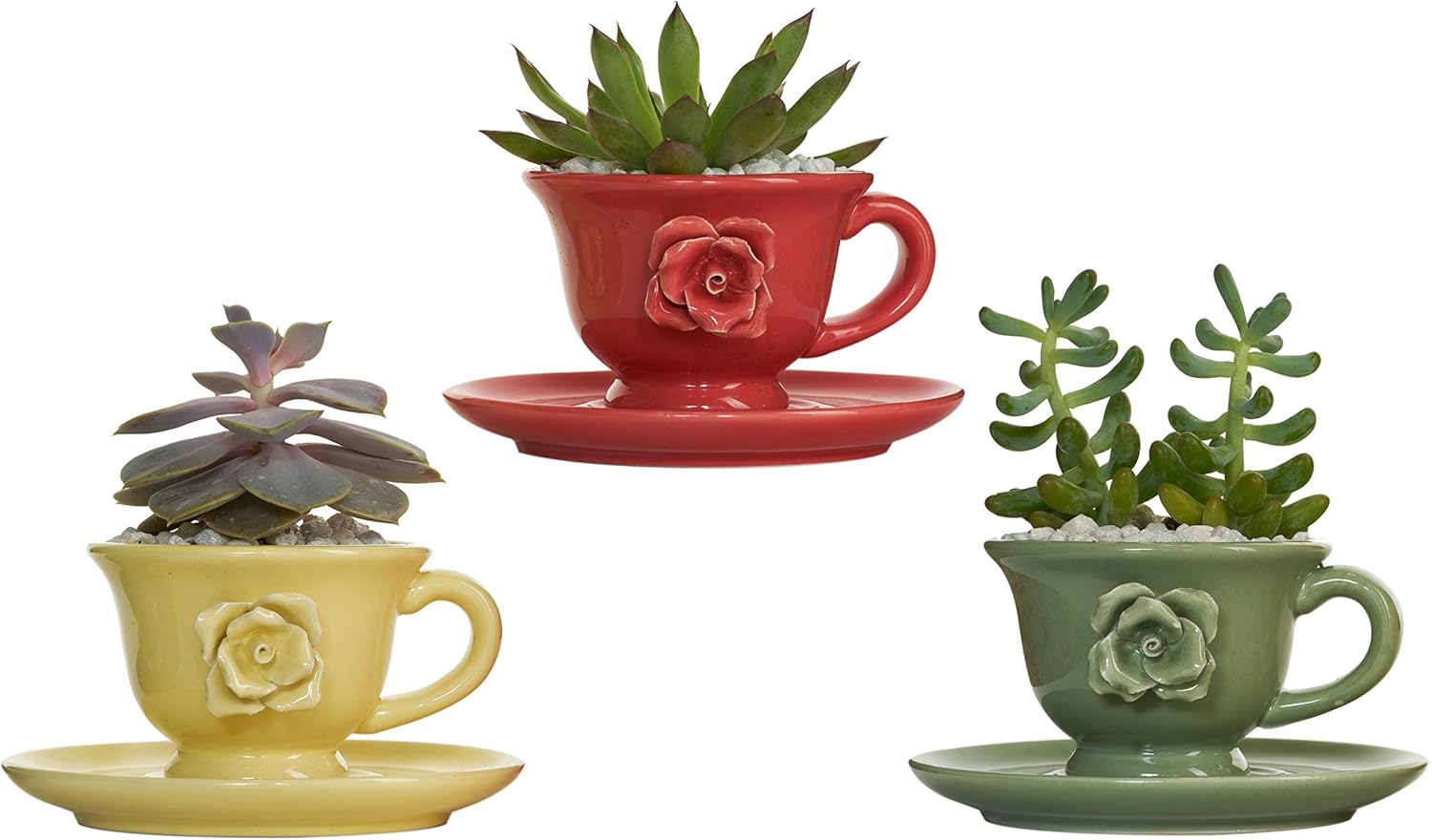 BABSY Succulent Planter Pots with Drainage Hole for Cactus, Herbs, Flowers (Teacup Red, Yellow, Green)