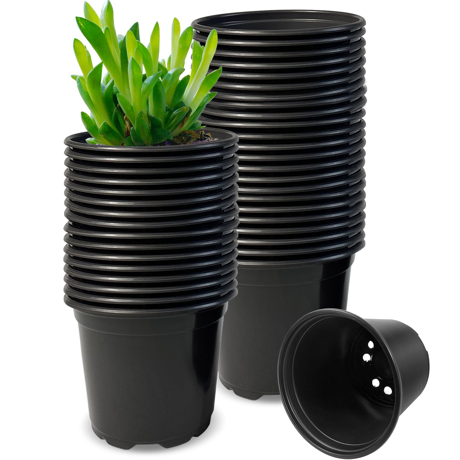 Photo 1 of RAOOKIF 50 Pack Nursery Pots, 3 Inch Nursery Pot for Plants, Small Plastic Plant Pots with Drainage Holes, Garden Flower Pots for Transplanting, Succulents, Cuttings, Seedlings(3inch,50pcs)