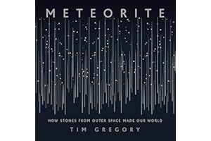 Meteorite: How Stones from Outer Space Made Our World