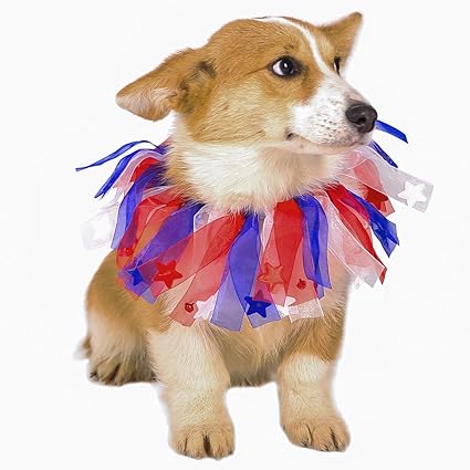 4th of july dog accessories Clearance