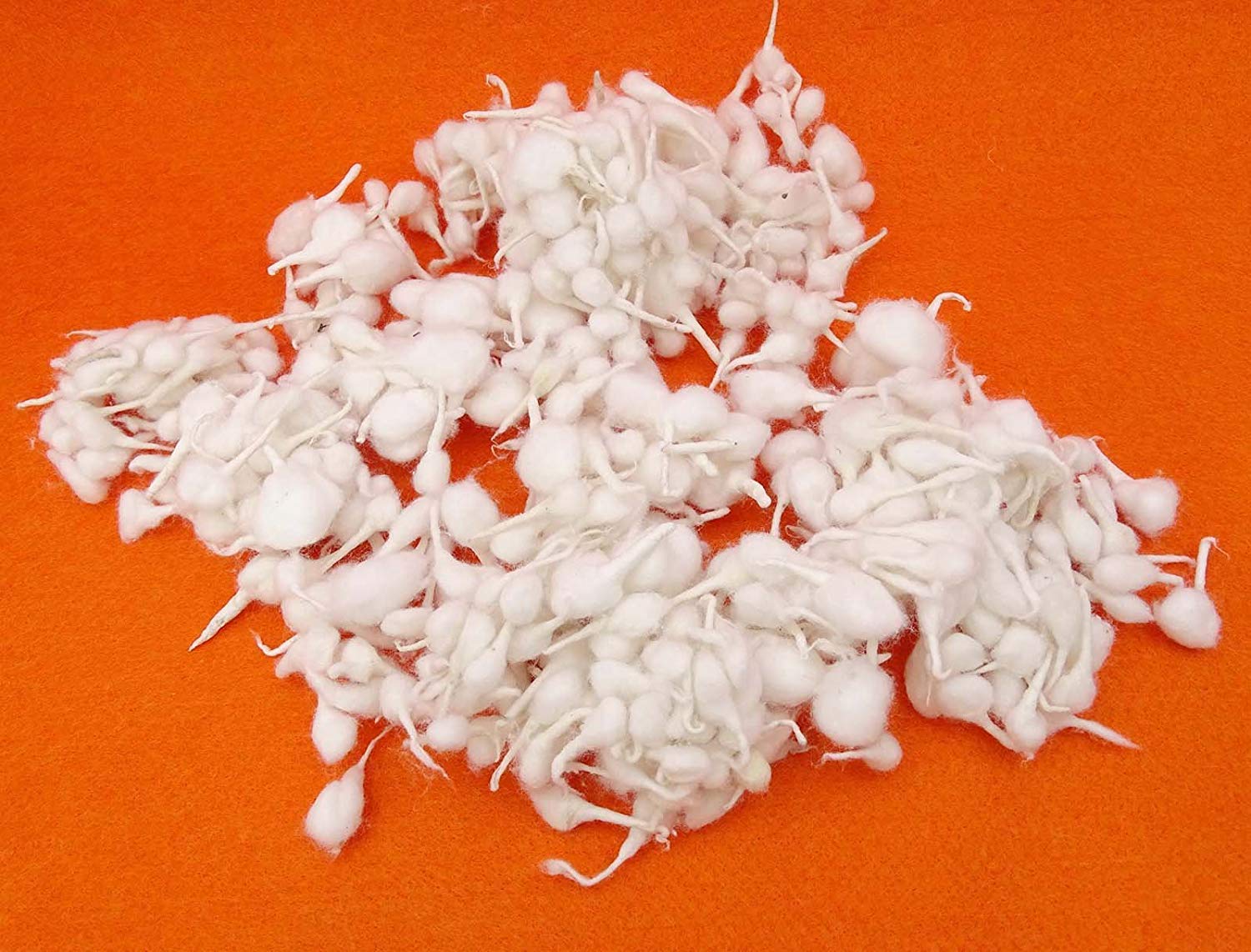 Bignay wine essay 05 image