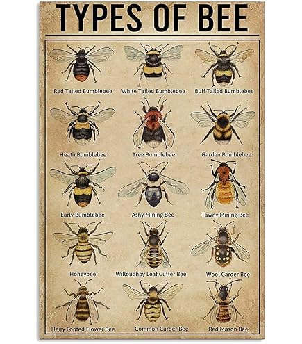 Cartello Vintage In Metallo 'The Life Of The Honey Bee', 20.3x30.5 Cm, Decorazione Parete Per Bar, Casa, Ufficio