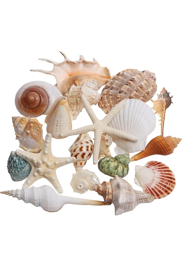 4430 贝壳光 8cm×10m 庭深几许 海外マステ 4430 贝壳光 8cm×10m 庭深几许 海外マステ