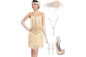 RRYIO 1920s Flapper Dresses for Women,Lace V Neck Great Gatsby Dresses Fringed Roaring 20s Dresses