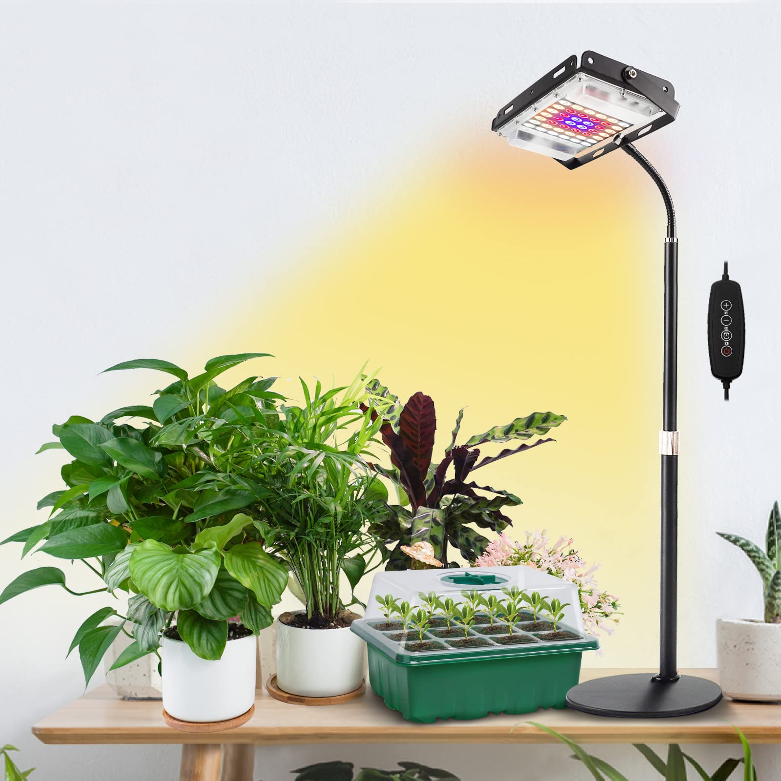 Photo 1 of LBW Grow Light for Indoor Plants, Full Spectrum Desk LED Plant Light, Small Grow Lamp with 4H/8H/12H Timer, 6-Level Brightness, Height Adjustable, Flexible Gooseneck, Ideal for Indoor Growth