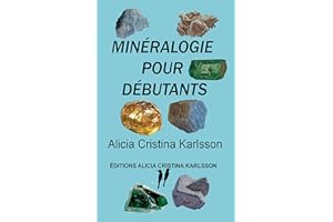 �Ѿ���é�������ǲ����� pour débutants (French Edition)