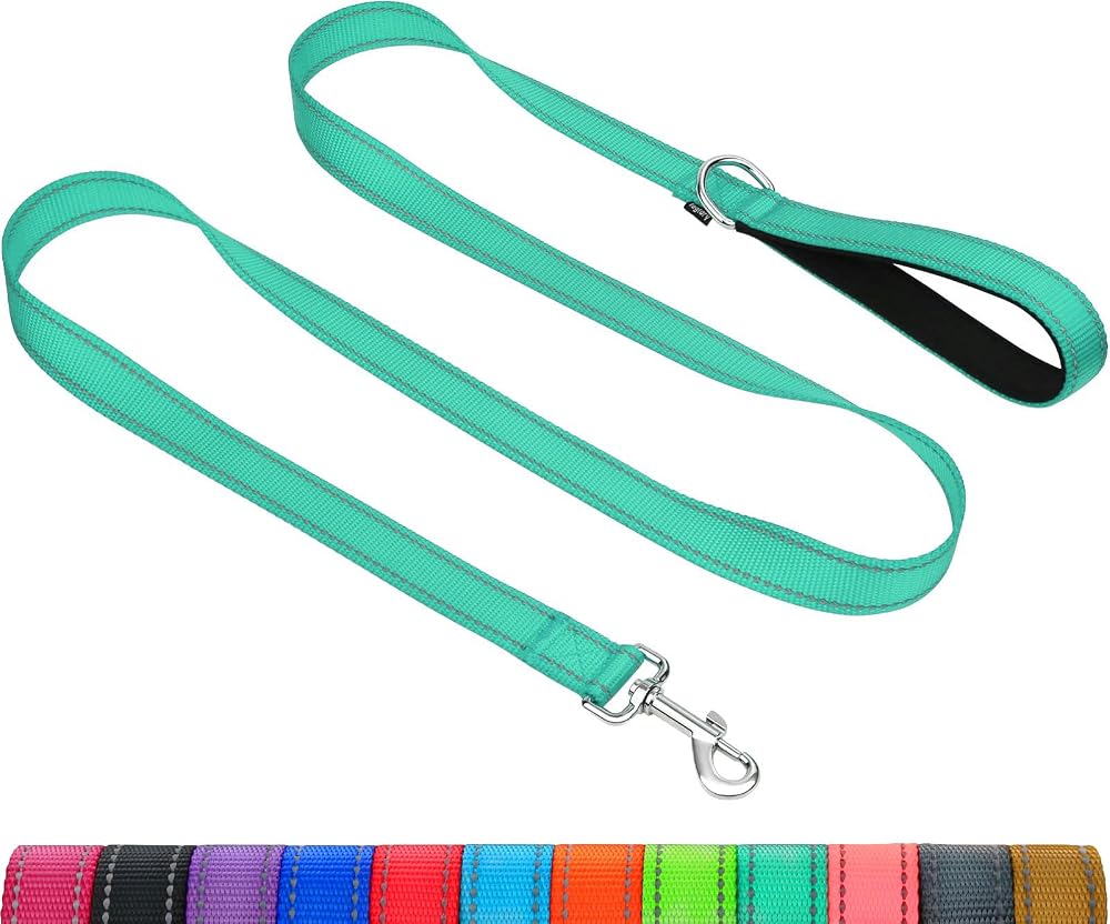 Taglory Dog Lead Reflective Nylon 2 cm x 180 cm Turquoise