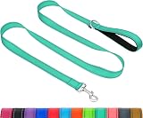 Taglory Dog Lead Reflective Nylon 2 cm x 180 cm Turquoise