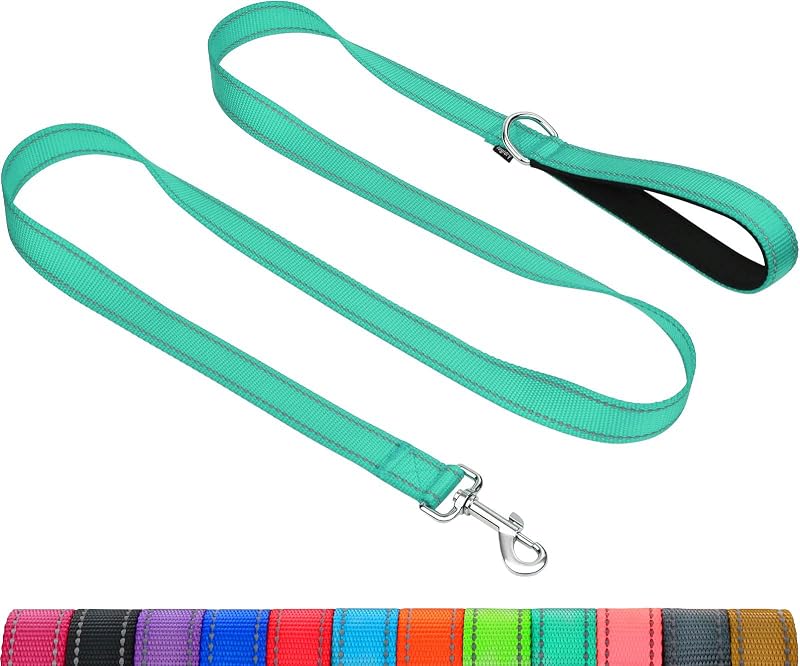 Taglory Dog Lead Reflective Nylon 2 cm x 180 cm Turquoise