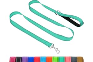 Taglory Dog Leash for Medium Large Dogs | Double-Sided Reflective | Soft Neoprene Padded Handle | 1 inch by 6 ft | Fit Medium Large Breeds Dogs 20-150 lbs | Turquoise
