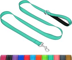 Taglory Dog Leash for Medium Large