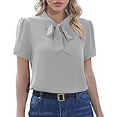 CZYINXIAN Womens Dressy Chiffon Blouse Business Work Casual Tie Neck Shirt Tops