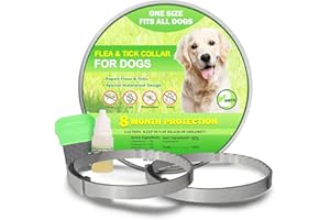 QUIVANTA Flea Collar for Dogs, 8-Month Protection, Adjustable Flea and Tick Collar for Medium, Large Dogs, Waterproof & Safe Flea Prevention, Effective Tick Treatment, Includes Flea Comb & Treatment Drops