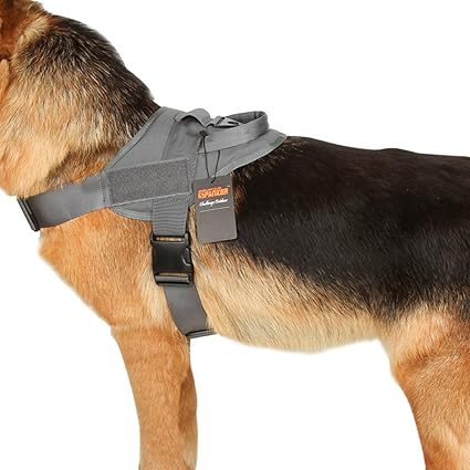 elite dog harness