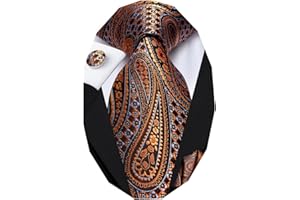 Dubulle Mens Paisely Silk Tie for Men Necktie and Pocket Square Set