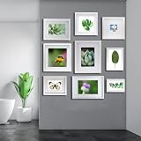 YiPinYin White 6x8 Inch Photo Frame 3 Pack with Mount Perspex 4x6/6x8 view 6