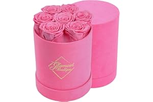 GLAMOUR BOUTIQUE Eternal Preserved Roses in a Box - Flowers Forever, Rose Forever in a Box for Wife, Birthday Gifts for Her, 7 Roses, Velvet Pink