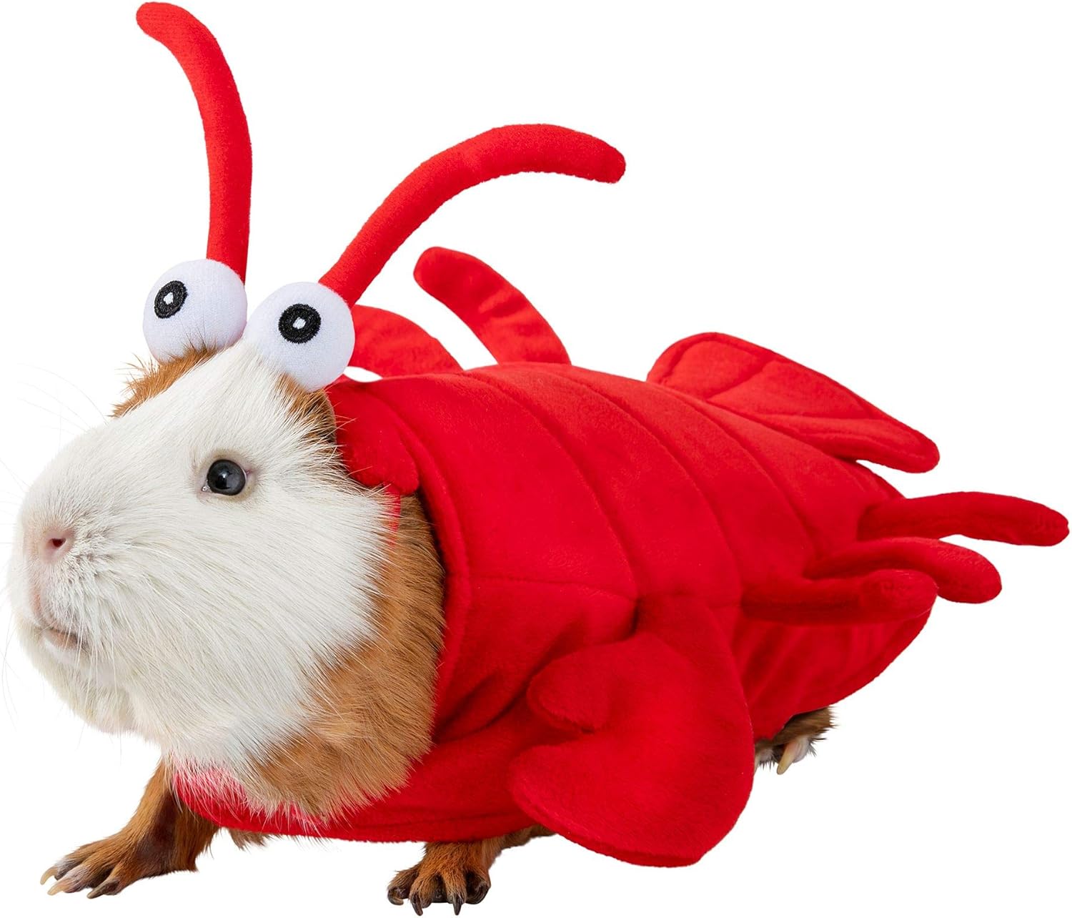 guinea pig costumes amazon