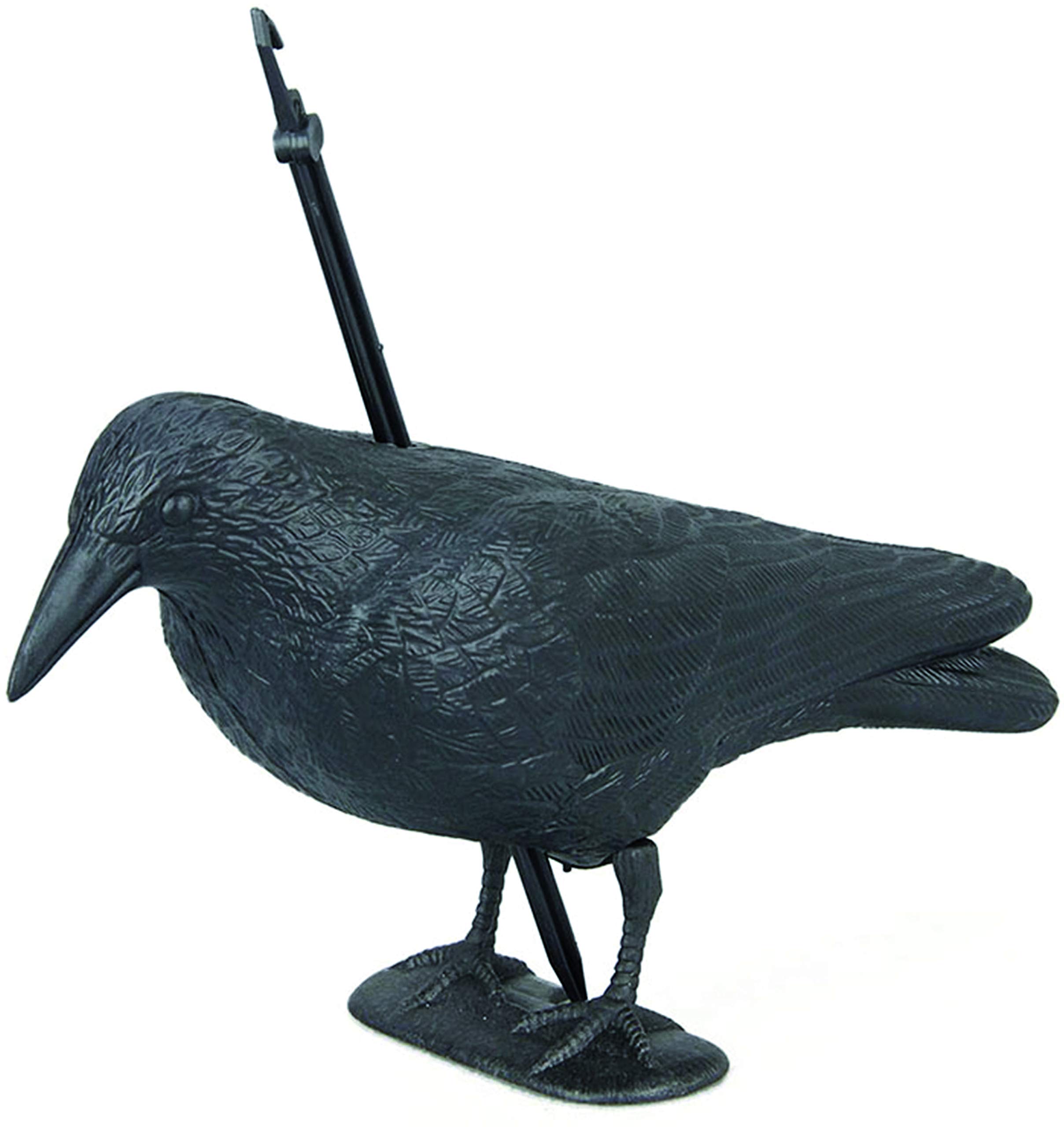 Vigor 9754710 Bird Repellent, Black