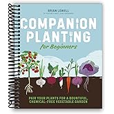 Companion Planting for Beginners: Pair Your Plants for a Bountiful, Chemical-Free Vegetable Garden