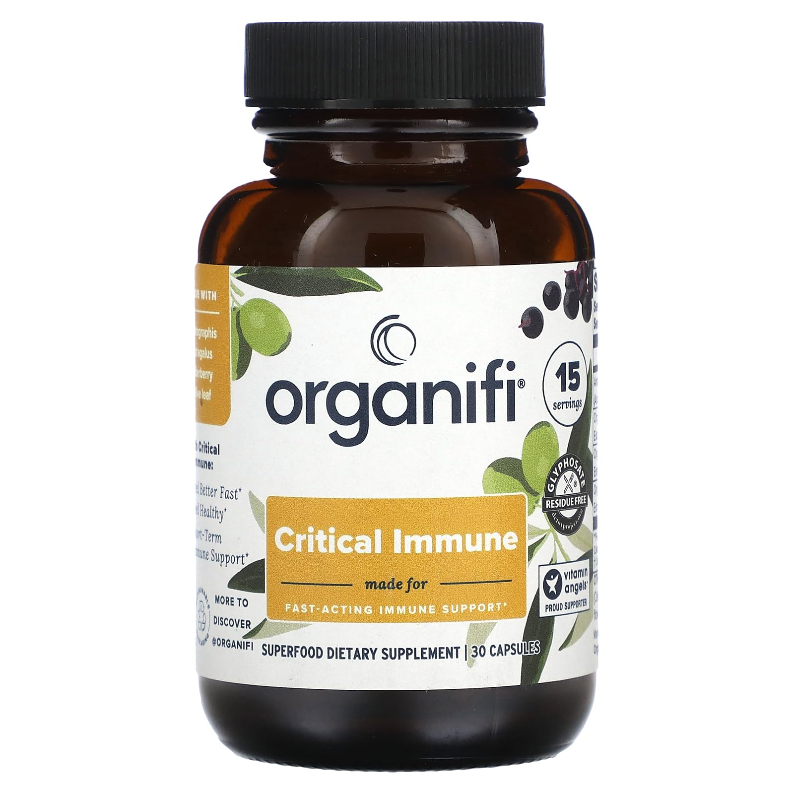 Critical Immune