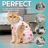 Avont 2 Pack Cat Recovery Suit Kitten Onesie After Surgery Cherry Strawberry M view 4