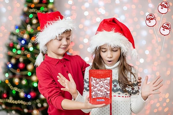 FRUIDLES CHRISTMAS SANTA CLAUSE LOLLIPOP, MIXED FRUIT FLAVOR, MADE IN BRAZIL, INDIVIDUALLY WRAPPED, 15G POPS, APPROX. 30 POPS POUND (HALF-POUND)