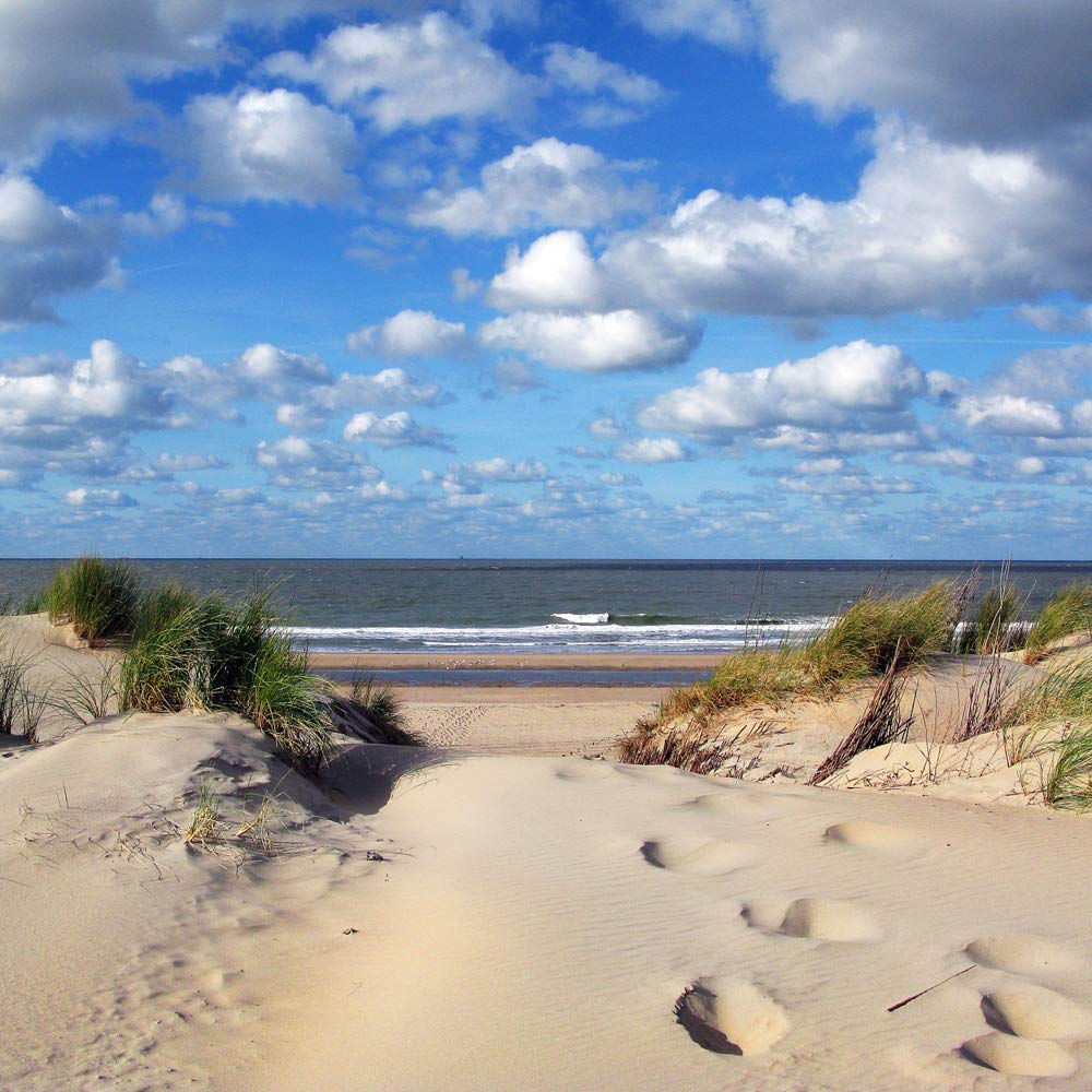 International Graphics - Finished Picture - Matthias, Weber - ''Entrance to the Ocean''- 30 x 30 cm - Direct printing on acrylic glass