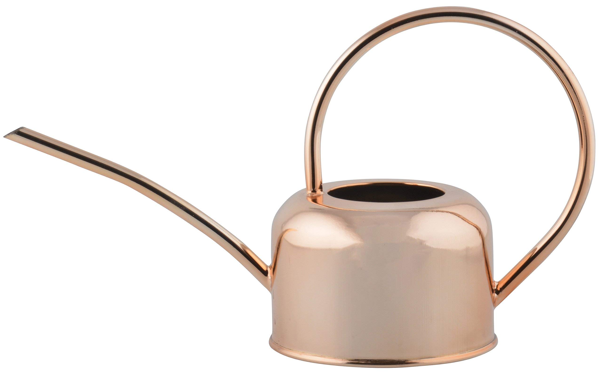 Fallen Fruits Copper Plated Watering Can