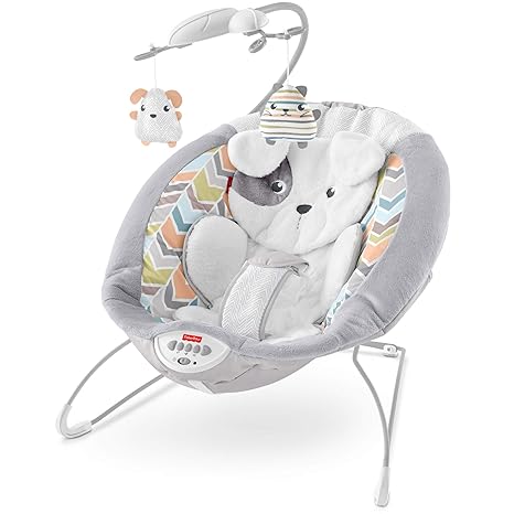 fisher price my little snugapuppy bouncer