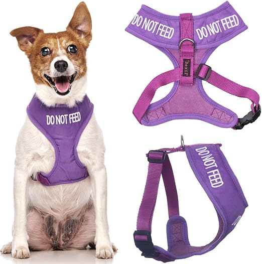 warning dog harness